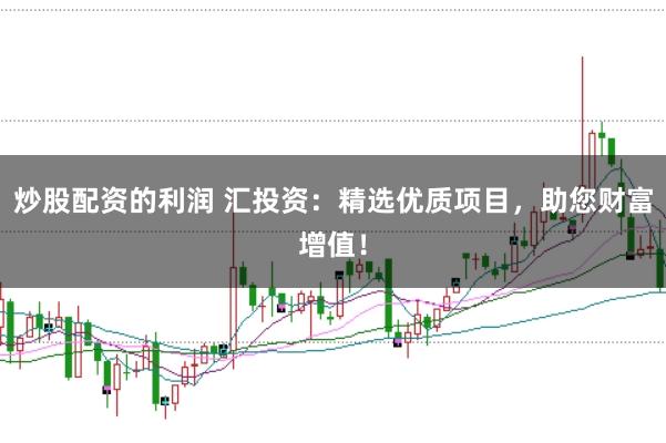 炒股配资的利润 汇投资：精选优质项目，助您财富增值！