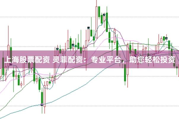 上海股票配资 灵菲配资：专业平台，助您轻松投资