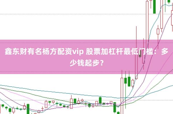 鑫东财有名杨方配资vip 股票加杠杆最低门槛：多少钱起步？