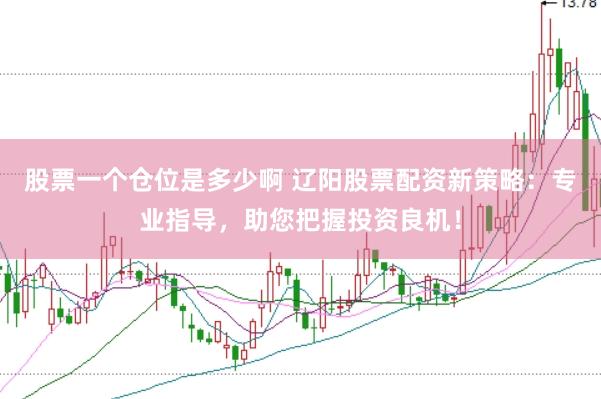 股票一个仓位是多少啊 辽阳股票配资新策略：专业指导，助您把握投资良机！