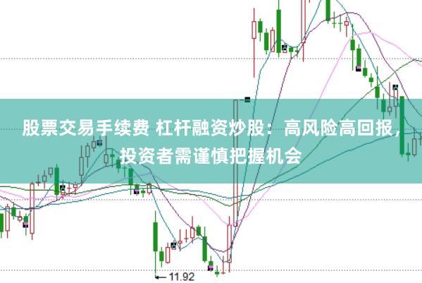 股票交易手续费 杠杆融资炒股：高风险高回报，投资者需谨慎把握机会