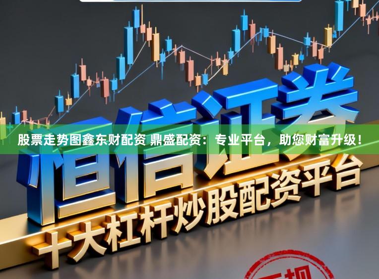 股票走势图鑫东财配资 鼎盛配资：专业平台，助您财富升级！
