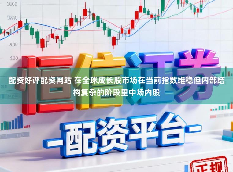 配资好评配资网站 在全球成长股市场在当前指数维稳但内部结构复杂的阶段里中场内股