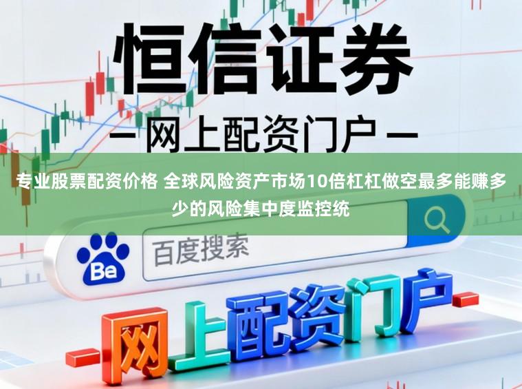 专业股票配资价格 全球风险资产市场10倍杠杠做空最多能赚多少的风险集中度监控统