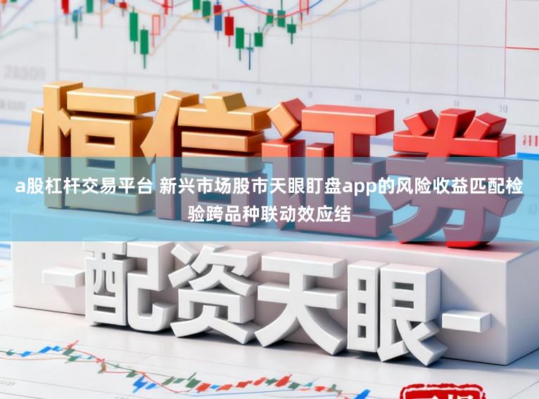 a股杠杆交易平台 新兴市场股市天眼盯盘app的风险收益匹配检验跨品种联动效应结